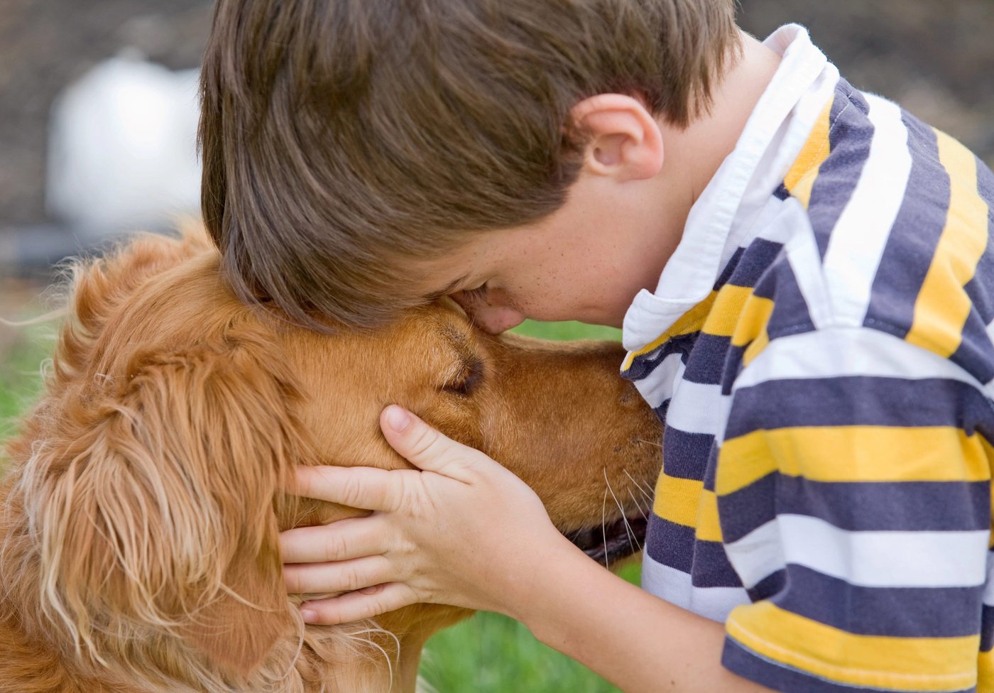 Young boy hugging Golden Retriever dog